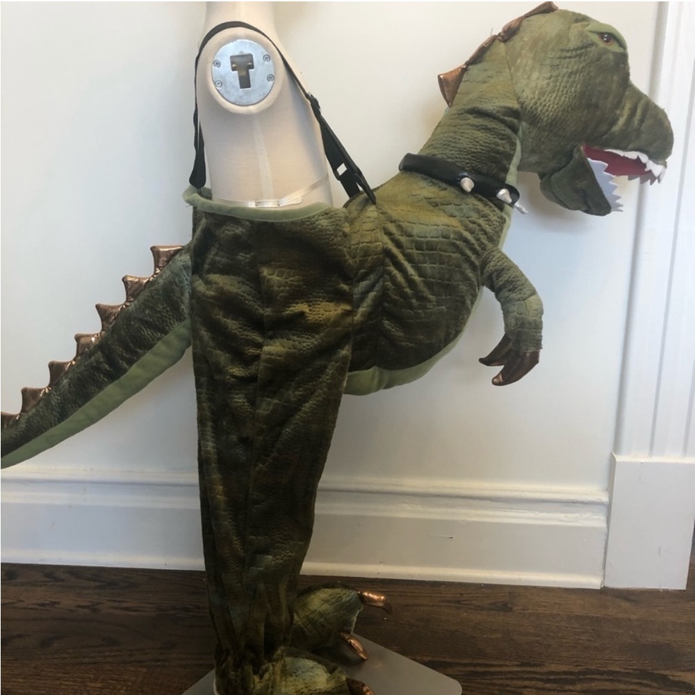 Dinosaur 3d Plush Kids Costume Halloween Rawrs With A Button Ride On